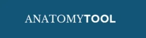 AnatomyTool